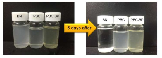 각 블록 공중합체를 적용한 BN의 용매 내 분산 및 저장 안정성 평가