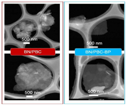 블록 공중합체가 관능화 된 BN의 TEM 사진