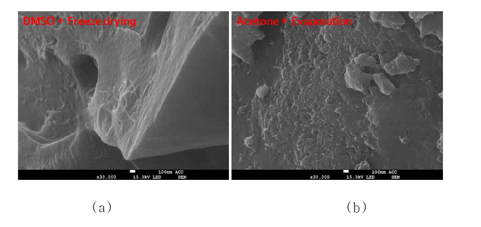 (a) DMSO 동결건조와 (b) Acetone 증발건조를 통해 제작한 CNT 복합 소재의 SEM 이미지