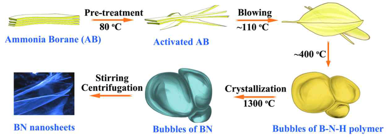 Chemical blowing에 의한 BN nanosheets의 합성 도식도