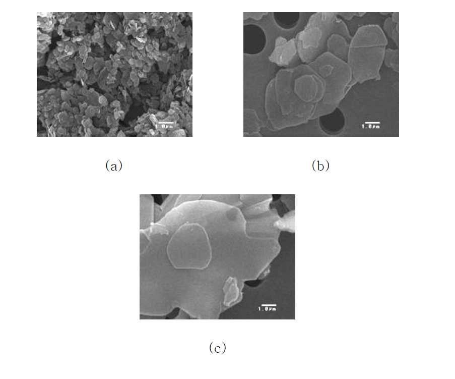 h-BN 입자 크기별 SEM 이미지