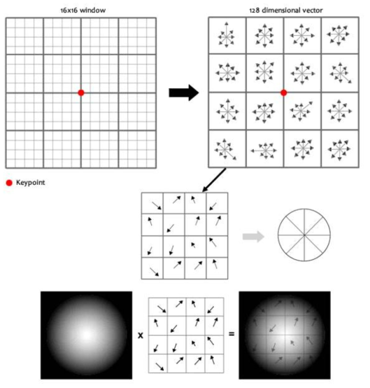 16 × 16칸을 이용한 특징점의 128 dimensional descriptor vector의 생성