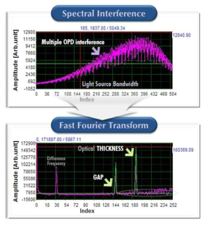웨이퍼 상 임의 픽셀 위치에서 측정된 광대역 분광간섭 스펙트럼과 FFT 분석 데이터의 전형적 파형.