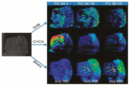 MALDI 이미징 분석에 최적화된 binary matrix 와 기존 단일 CHCA, DHB matrix 의 비교 MALDI Imaging 데이터