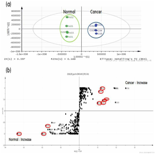 양이온 모드에서의 유방암 조직에 대한 SIMCA-P+ 소프트웨어를 이용한 다변량 요인 분석(multivariate data analysis) 결과