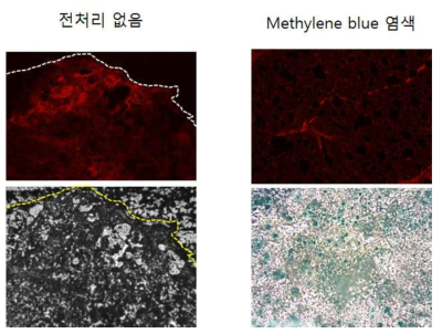 Matrix 도포 후 이미지 비교