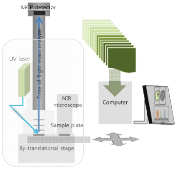 NIR microscope 가 결합된 MALDI-TOF 의 개요도
