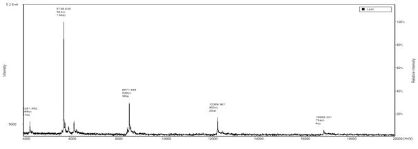 Linear 기본 MALDI-TOF 실험결과- Protein I internal calibration data