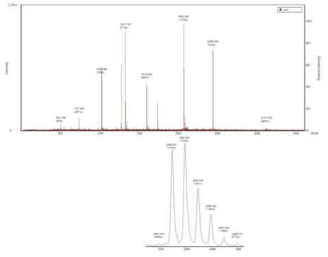 Reflectron mode 에서 얻은 ACTH clip 1-17 peptide 질량스펙트럼