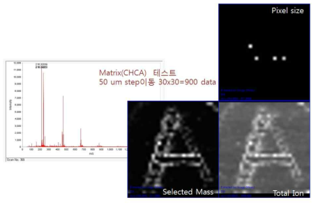 Matrix 로 spottting 된 알파벳 A 의 질량이미징. matrix의 질량 스펙트럼과 전체 혹은 선택된 이온의 이미지.