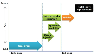 골관절염 정도에 따른 치료약물