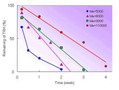 Effect of molecular weight of PLGA75/25 on release profiles of TRH microspheres