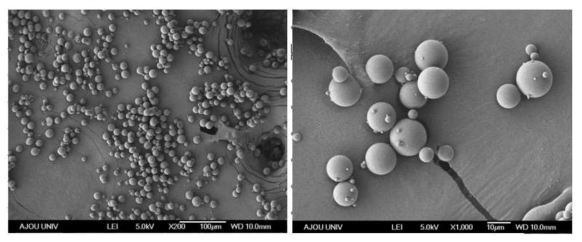 SEM image of microspheres_Rx64