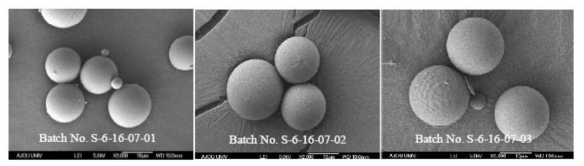 SEM image of microspheres_Rx64 3batches