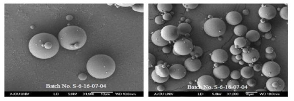 Sem image of microspheres_Rx64_scale up batch