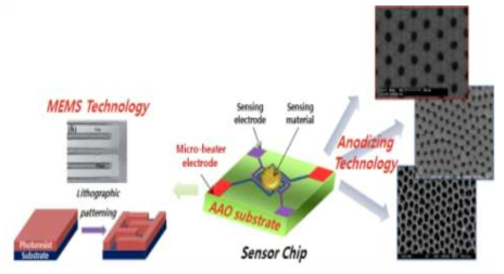 AAO 플랫폼 기반 마이크로 히터 개념도
