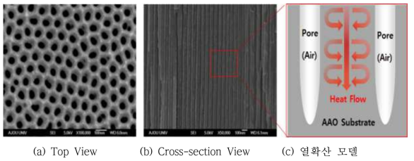 AAO 소재 표면 및 측면 이미지