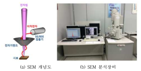 SEM 개념도 및 분석장비