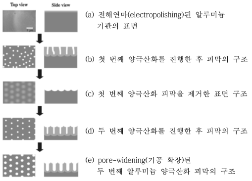 Ordered Aluminium Oxide의 생성 과정