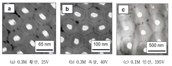 전해질 조건에 따른 기공 및 기공간 거리