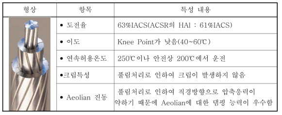 ACSS/TW전선 특성