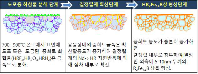 중희토 결정립계 확산메카니즘 설명자료