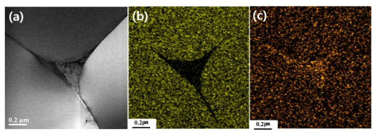 Scanning transmission electron micrographs of the sample A.