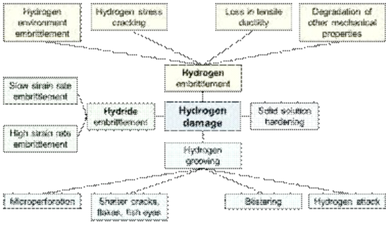 Hydrogen damage의 종류