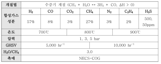 COG 개질 실험 조건