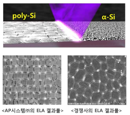 엑시머 레이저로 결정화된 다결정 실리콘