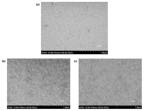 결정화 에너지 밀도 조건별 FE-SEM 표면 이미지