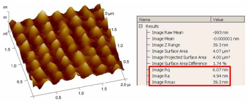 AFM 3차원 이미지 및 표면 거칠기