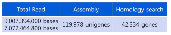 mRNA 염기서열 부석, 어셈블리 및 상동성 검색 결과