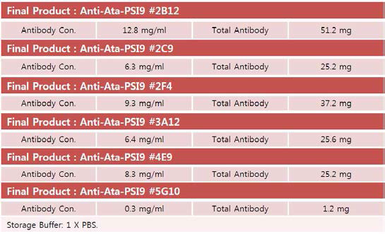 A. tamarense Photosystem I subunit 9 항체 생산 세포주 6종으로부터 정제한 항체의 양