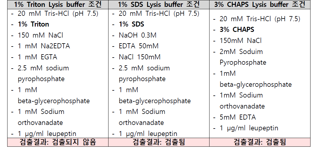 Lysis buffer 설정 조건