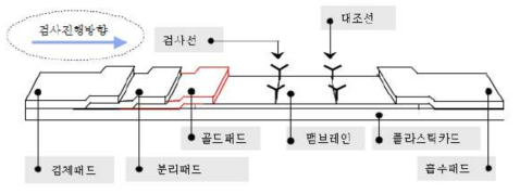 래피드 킷의 모식도