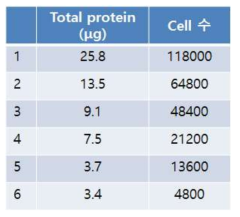 H. triquetra α-tubulin 래피드 킷의 성능 확인을 위한 해당 종의 세포 수 및 총 단백질 량