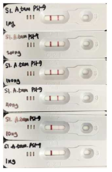 A. tamarense hotosystem I subunit 9 래피드 킷(1)의 성능 확인. 정제된 항원을 이용하여 성능을 확인함