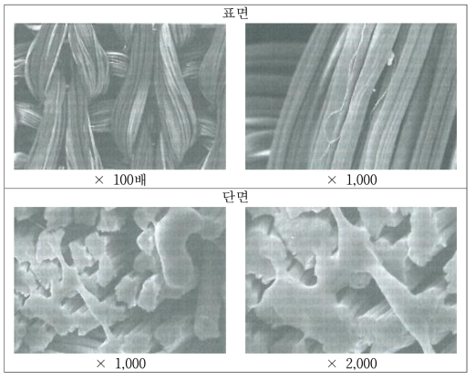 액체암모니아 처리된 실크/레이온 원단의 표면 및 단면