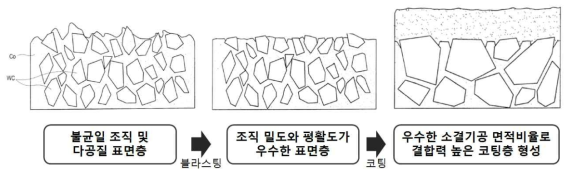 블라스팅 법으로 코팅 층을 형성한 초경합금 절삭인서트 모재의 단면도