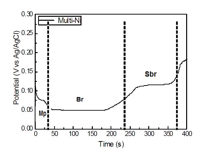 Electrolytic etching cuve of Multi Ni(Sb-Br-Mp)