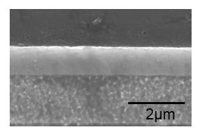 Cross section of Cr layer after 15min plating (80mA/cm2)