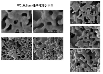 아연제거후 미세조직사진