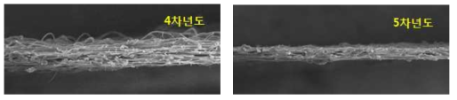 지지체 단면 비교