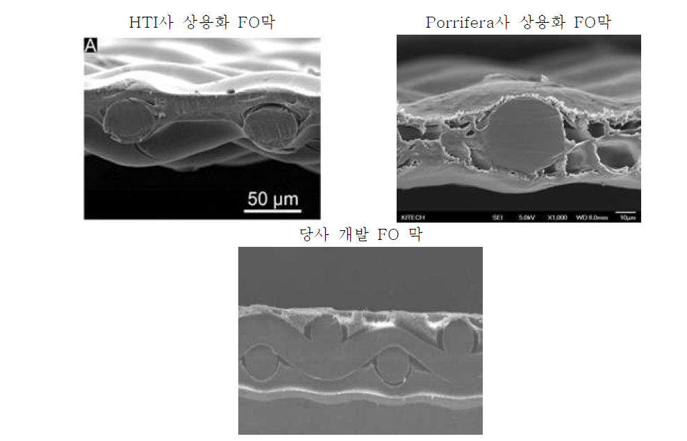 3사 FO막 단면 SEM 사진