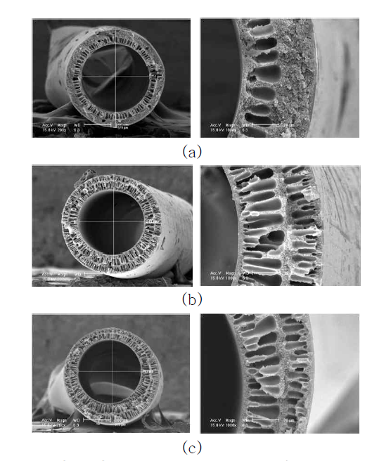 AK-PI-011C 의 SEM Images, (a) AK-PI-011C-16a (b) AK-PI-011C-16b (c) AK-PI-011C-16c