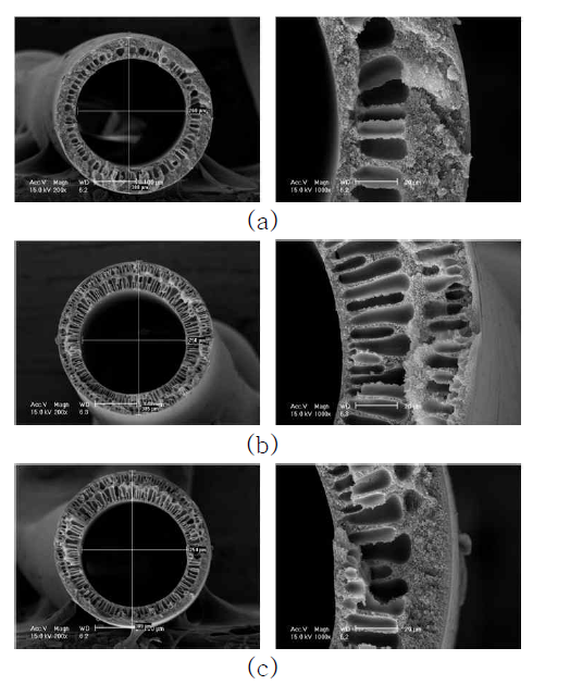 AK-PI-011C 의 SEM Images, (a) AK-PI-011C-17 (b) AK-PI-011C-18 (c) AK-PI-011C-19