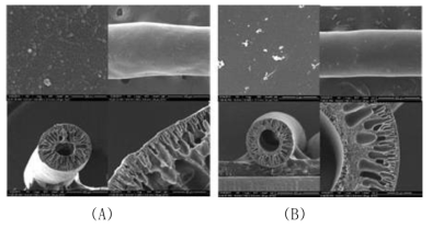 제조된 HFA-PBI 13% 중공사막(A)과 15% 중공사막(B)