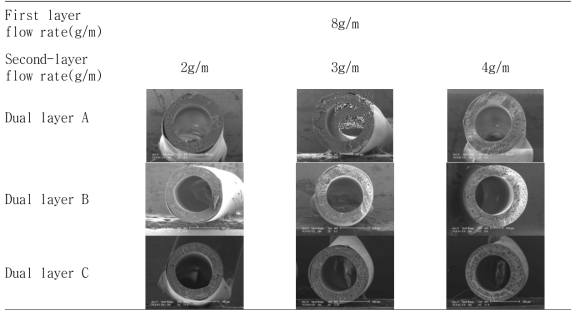 Dual-layer 중공사 단면 SEM 사진