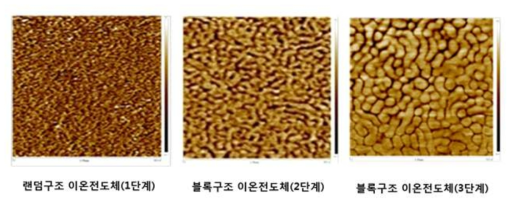 개발 단계별 WPM 멤브레인 구조 (AFM image)